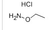 乙氧基胺盐酸盐