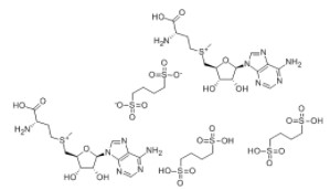 1,4-丁二磺酸-S-腺苷蛋氨酸；丁二磺酸腺苷蛋氨酸
