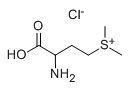 维生素U；氯甲基蛋氨酸