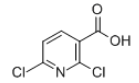 2,6-二氯烟酸