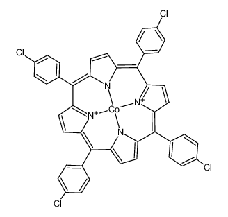 新研博美