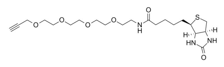 生物素-四聚乙二醇-炔烃
