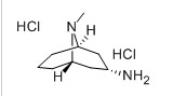内向-9-甲基-9-氮杂双环[3,3,1]壬烷-3-胺盐酸盐；高托品烷胺盐酸盐