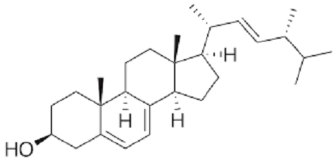 麦角甾醇，麦角固醇出货，18062648743，57-87-4，Ergosterol