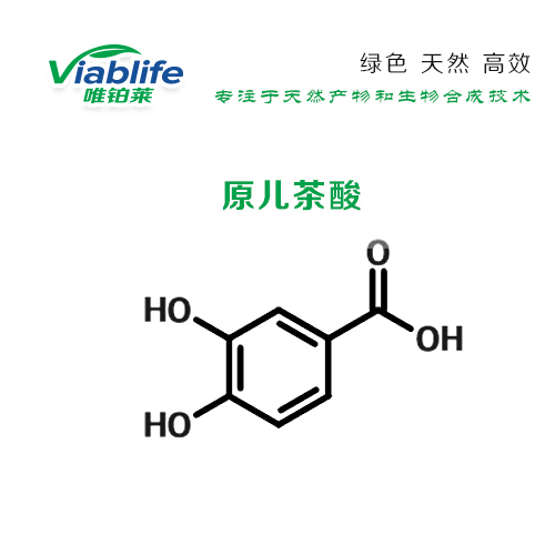 原儿茶酸