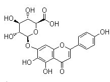 野黄芩苷