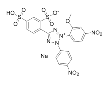 WST-8试剂盒，2-(2-甲氧基-4-硝苯基)-3-(4-硝苯基)-5-(2,4-二磺基苯)-2H-四唑单钠盐