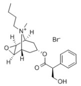 丁溴东莨菪碱