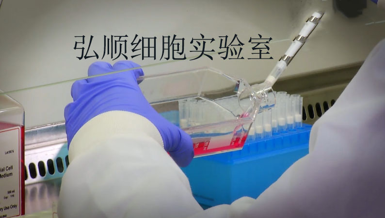 NCI-H1435 Cell；人非小细胞肺癌细胞