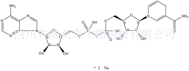 还原型辅酶I 二钠(β-NADH)
