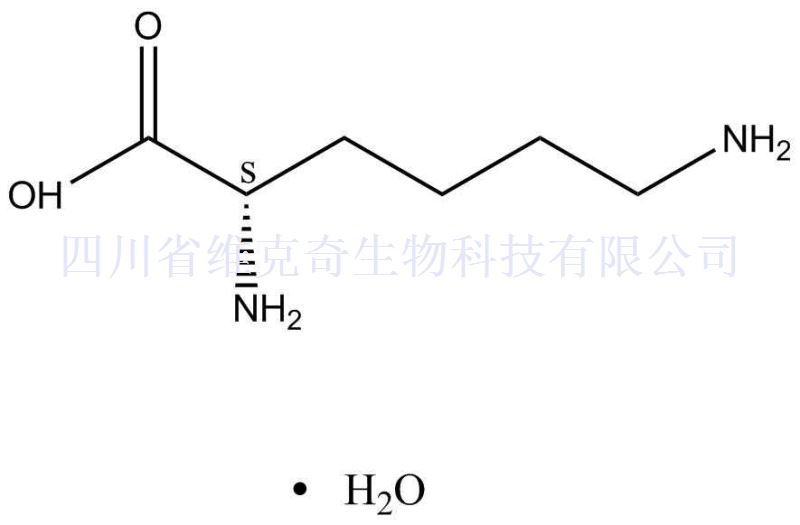 L-赖氨酸 水合物