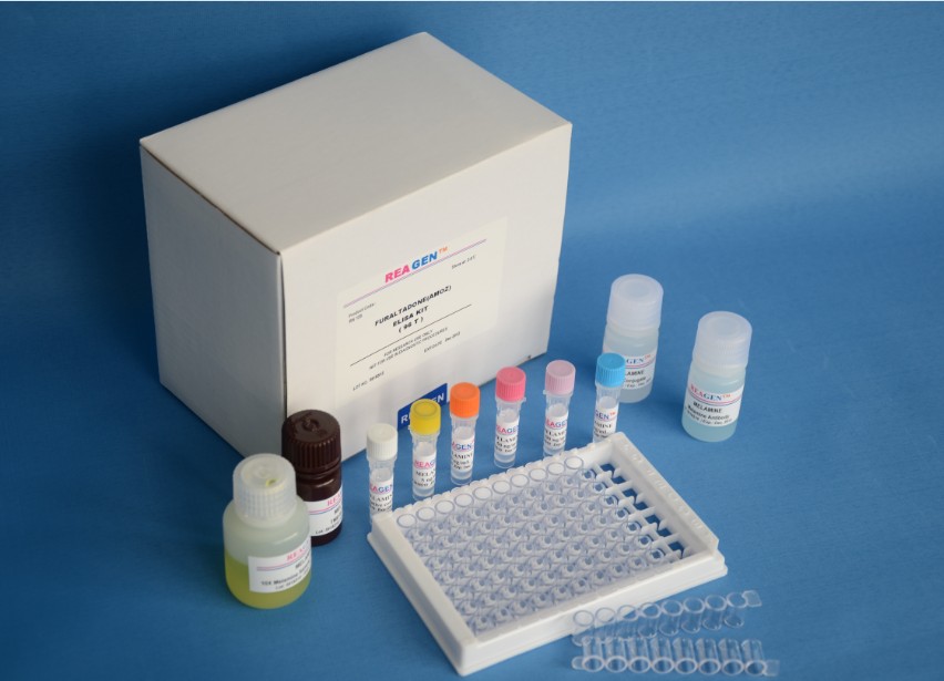 人粒细胞趋化蛋白-2(GCP-2/CXCL6)ELISA试剂盒