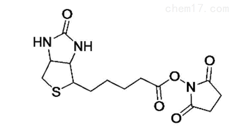 Biotin-NHS,生物素-琥珀酰亚胺