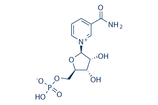 β-烟酰胺单核苷酸