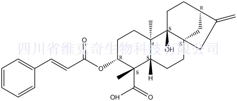 3alpha-肉桂酰氧基-9beta-羟基-对映-贝壳杉-16-烯-19-酸