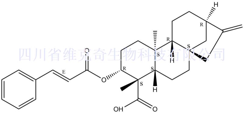 对映-3beta-肉桂酰氧基贝壳杉-16-烯-19