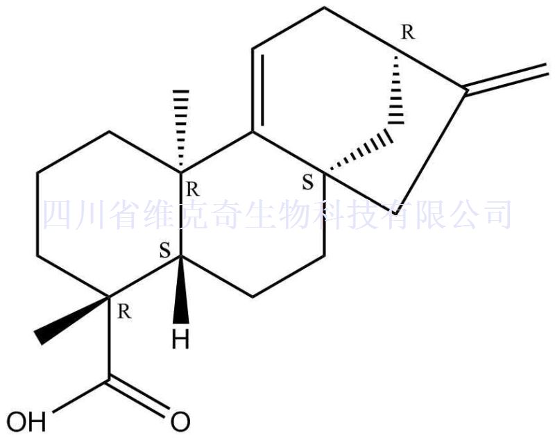 对映贝壳二烯酸