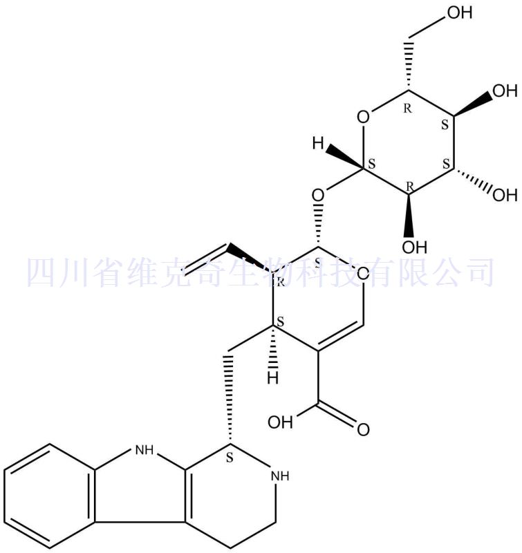 strictosidinic aci