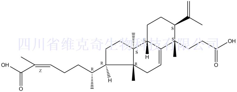 南五味子酸