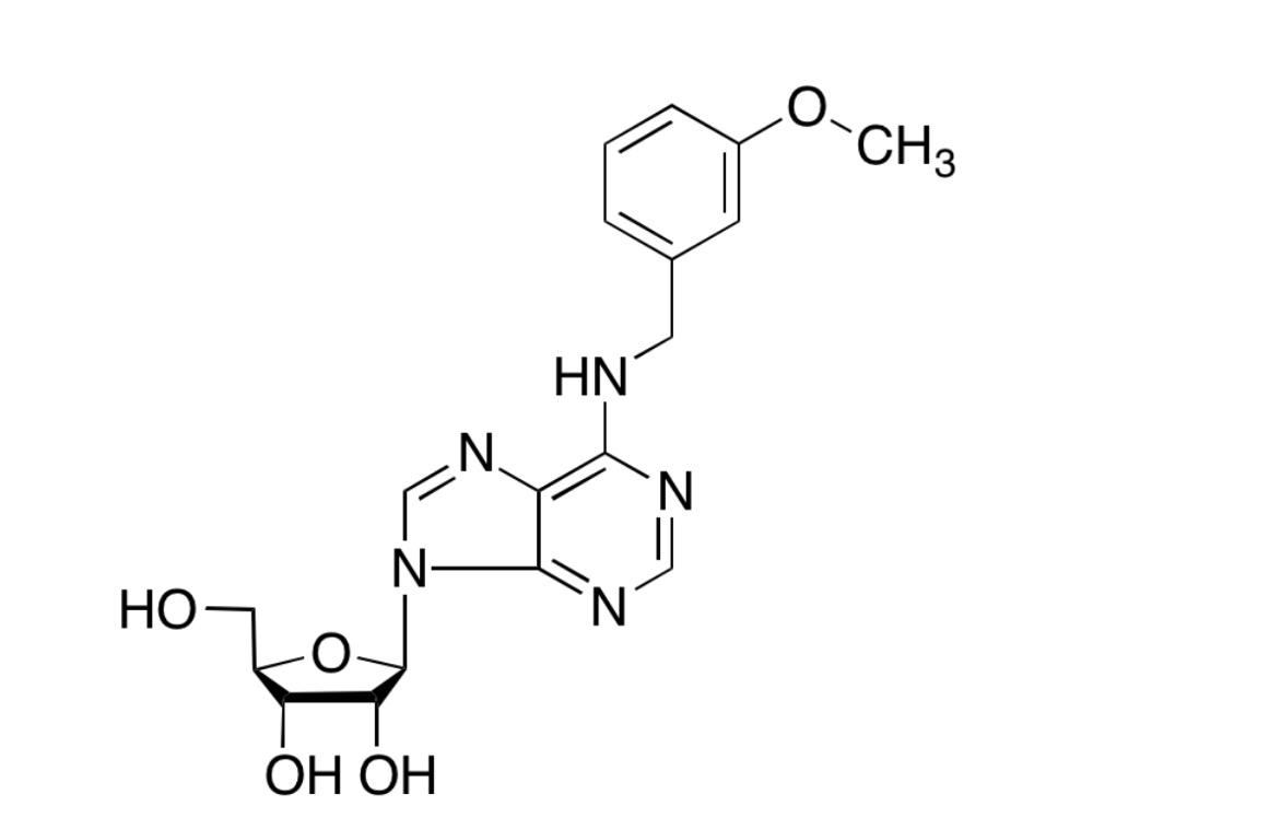 N-[(3-甲氧基苯基)甲基]-腺苷