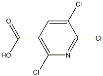 2,5,6-三氯烟酸