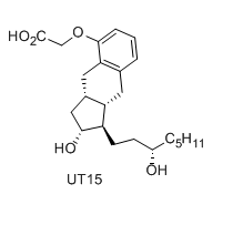 UT15