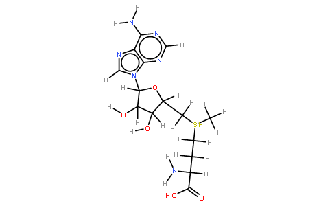 S-腺甘基蛋氨酸