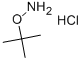 O-叔丁基羟胺盐酸盐