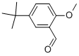 5-叔丁基-2-甲氧基苯甲醛