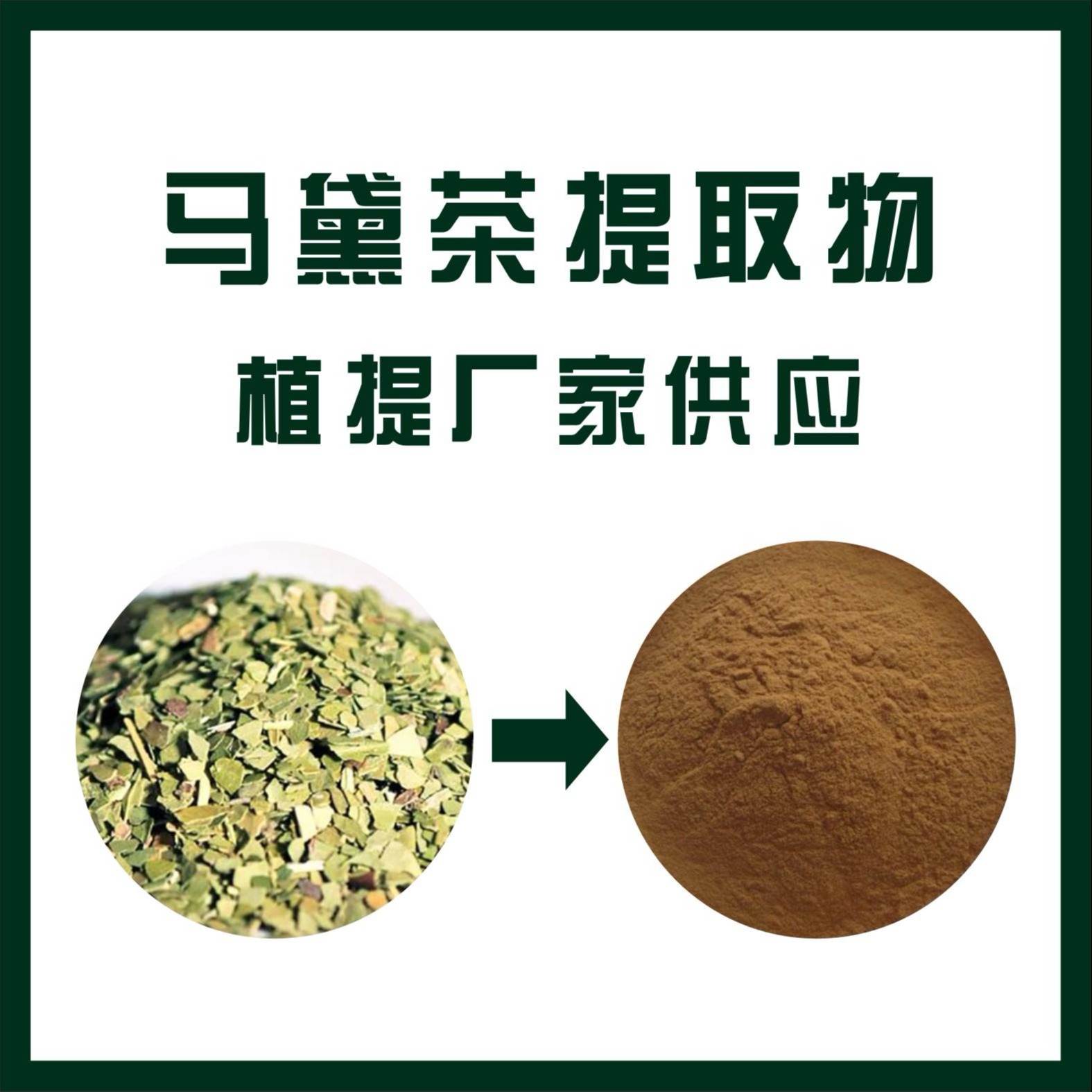 马黛茶提取物