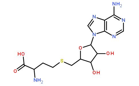 S-腺苷高半胱氨酸