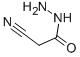 氰乙酰肼