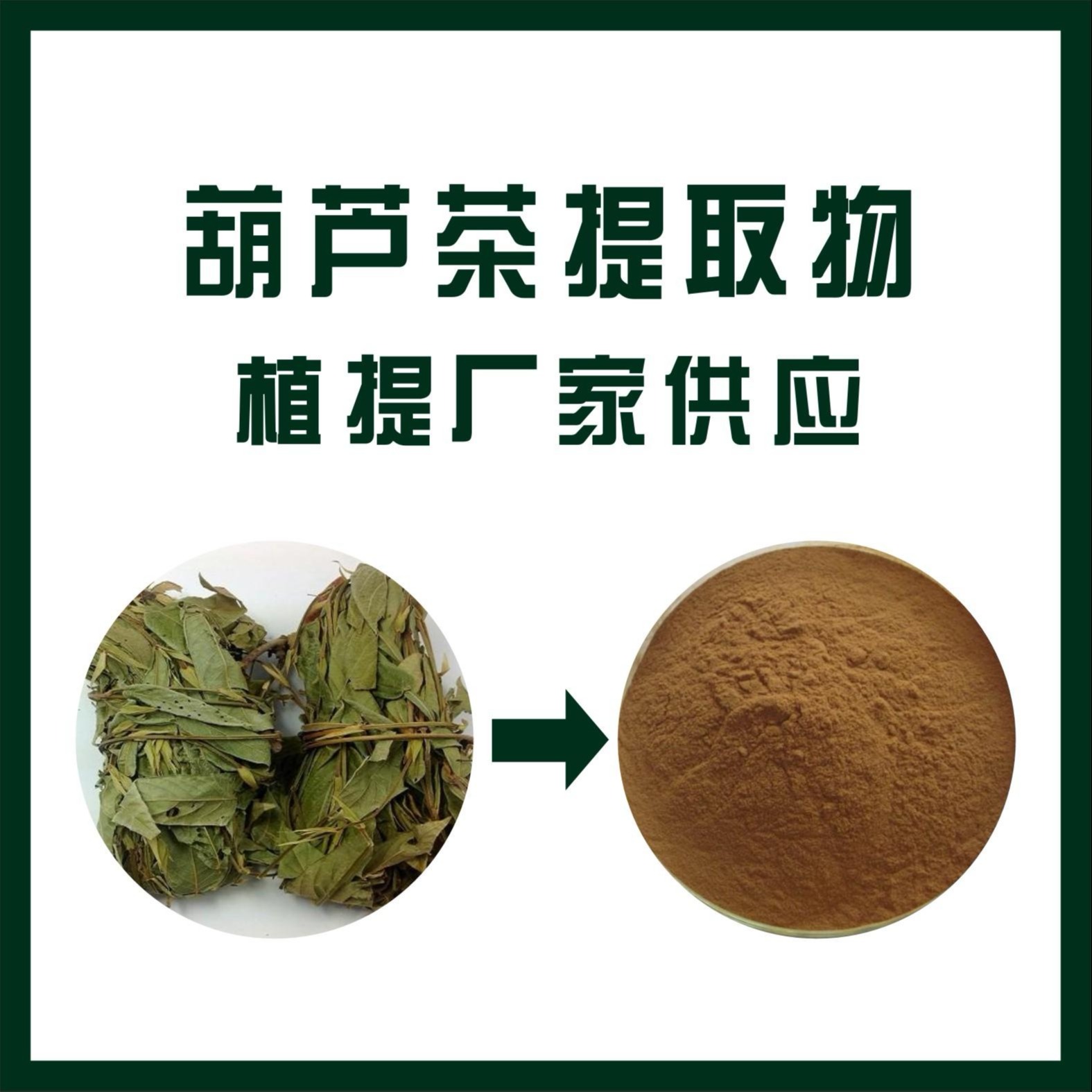 葫芦茶提取物