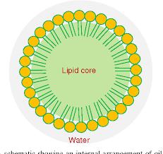 稳定不变色水溶油溶纳米视黄醛—化妆品原料