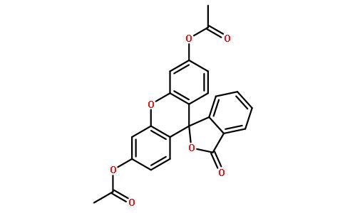 二乙酸萤光素