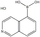 5-异喹啉硼酸