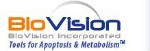 1-Methyl-4-vinylpyridinium triflate