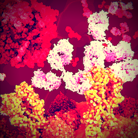 2,4-D(24D1) antibody (Biotin)