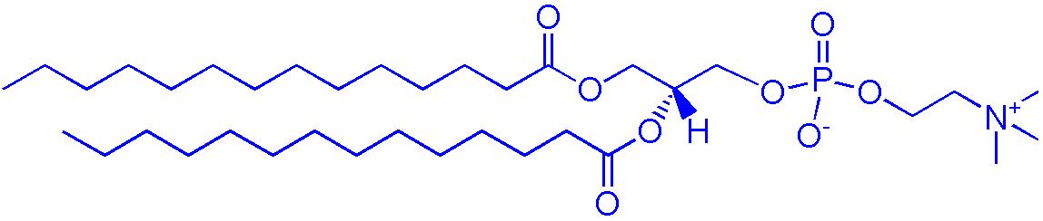 1,2-二肉豆蔻酰-sn-甘油-3-磷酸胆碱