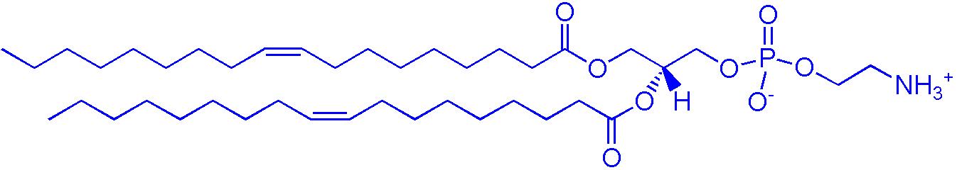 DOPE（1,2-二油酰基-sn-丙三基-3-磷脂酰乙醇胺）