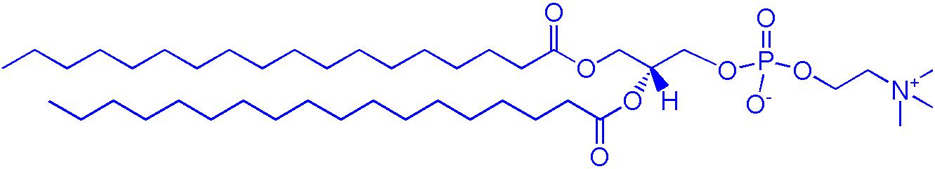 DSPC（1,2-二硬脂酰基-sn-丙三基-3-磷酸胆碱）