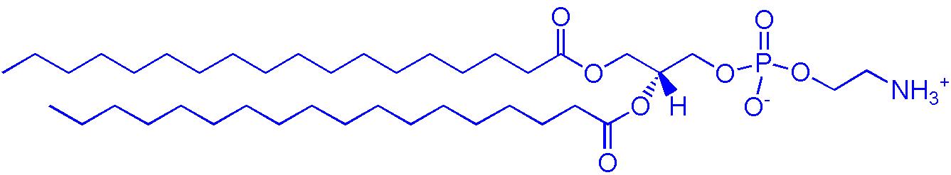 DSPE（1,2-二硬脂酰基-sn-丙三基-3-磷脂酰乙醇胺）