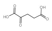 α-酮戊二酸