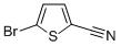 5-溴噻吩-2-甲腈