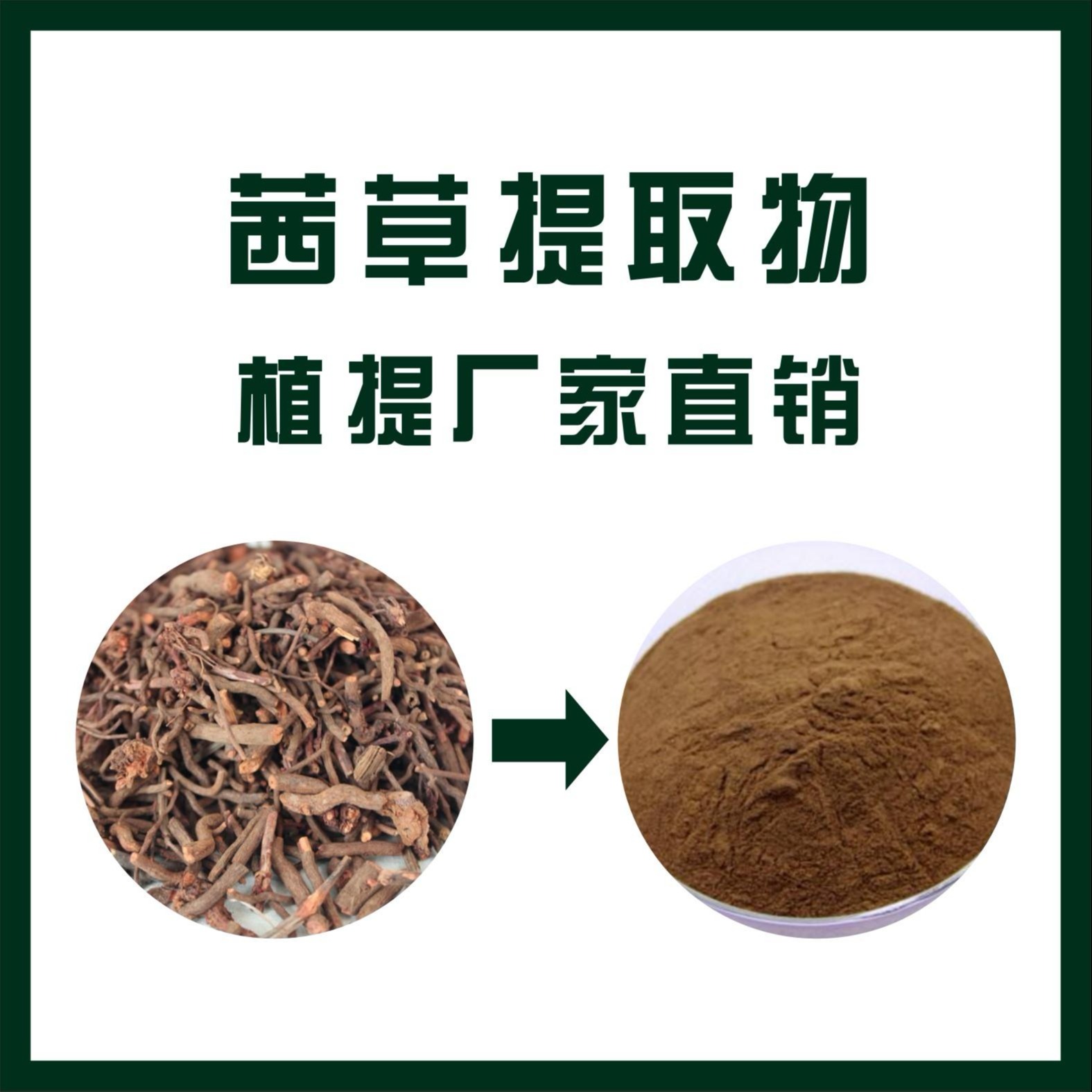 茜草提取物