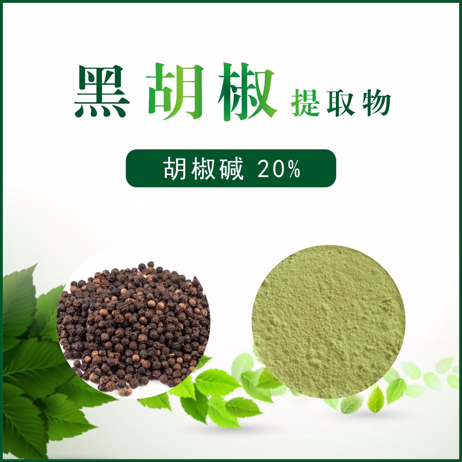 黑胡椒提取物/胡椒碱20%