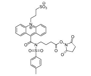 磺酸丙基吖啶酸-NHS酯 （NSP-SA-NHS）