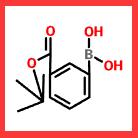 3-叔丁酯基苯硼酸