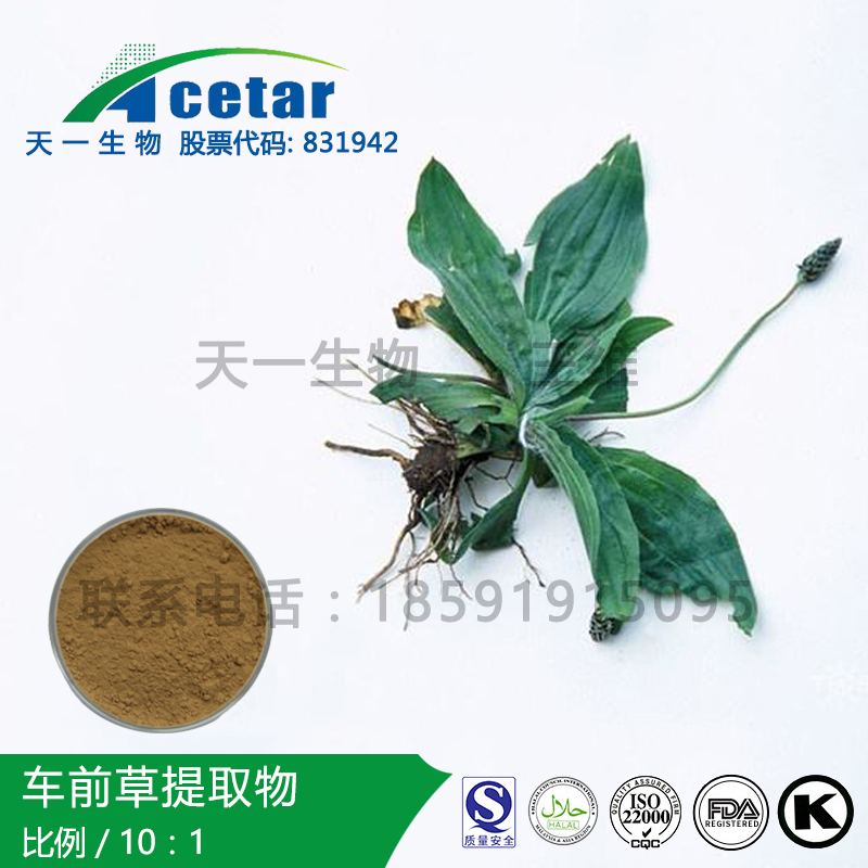 车前草取物，Asia Plantain Extract