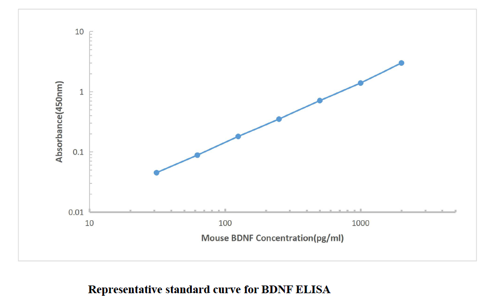 Mouse BDNF ELISA Kit